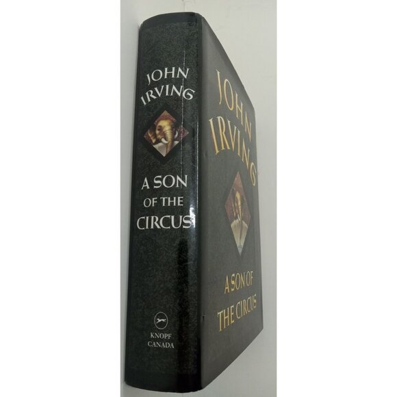 A Son of the Circus by John Irving – VG+ Literary Fiction Hardcover Book DJ - Picture 3 of 9